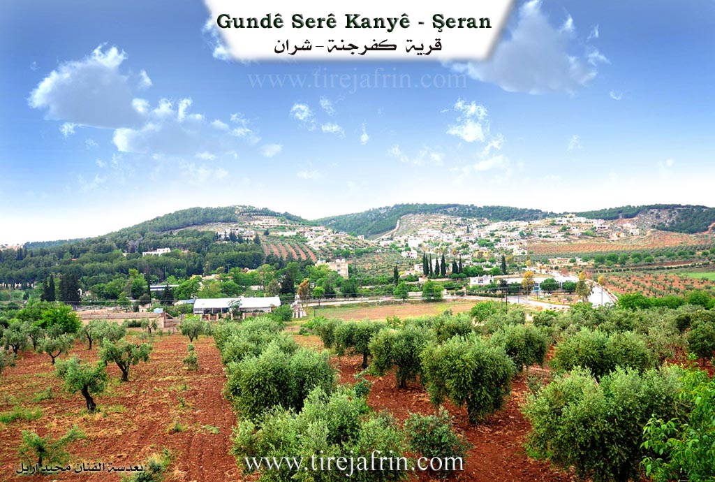 Photo of Serê Kaniyê